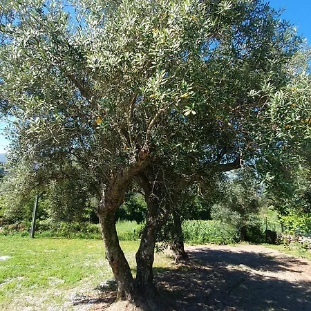 Quinta De Ramil * Vieira do Minho