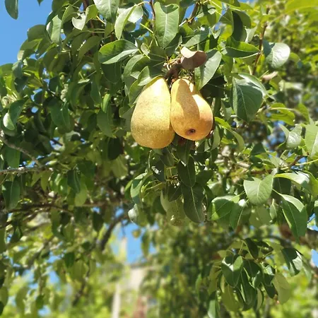 아파트 Quinta De Ramil *