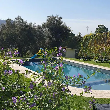 Quinta De Ramil Daire Vieira do Minho