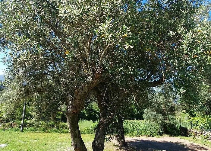 Quinta De Ramil * Виейра-ду-Минью